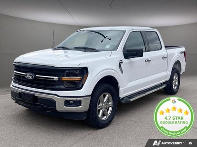 2025 Ford F-150 XLT — photo 1