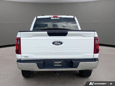 2025 Ford F-150 XLT — photo 5