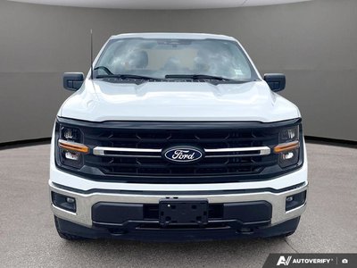 2025 Ford F-150 XLT — photo 2