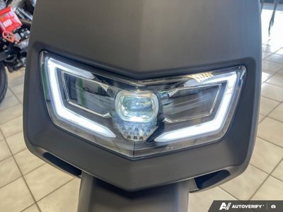 2025 Gio EAGLE LSM — photo 8