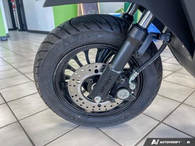 2025 Gio EAGLE LSM — photo 6
