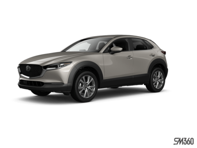 CX-30