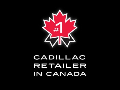 The Cadillac of Cadillac Stores