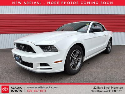 Mustang