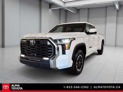 Tundra