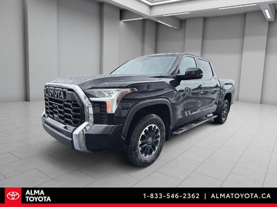 Tundra
