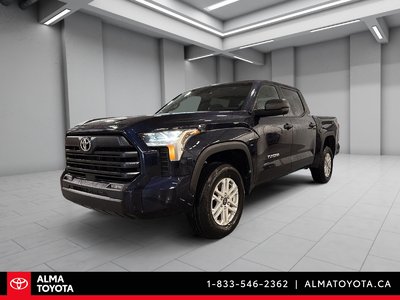 Tundra