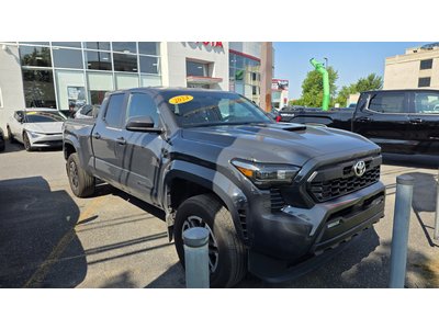 Tacoma