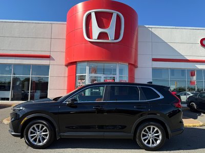 CR-V