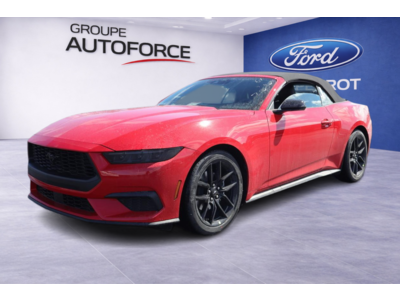 Mustang