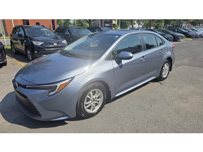Corolla