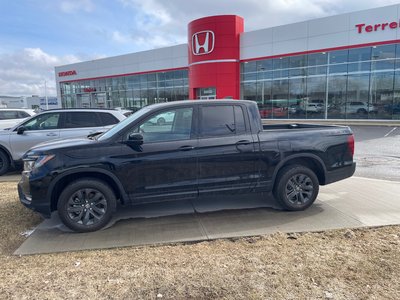 Ridgeline