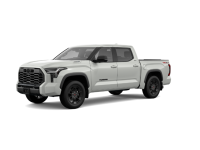 Tundra