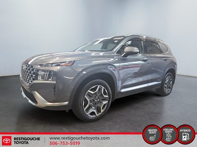 Santa Fe Plug-In Hybrid