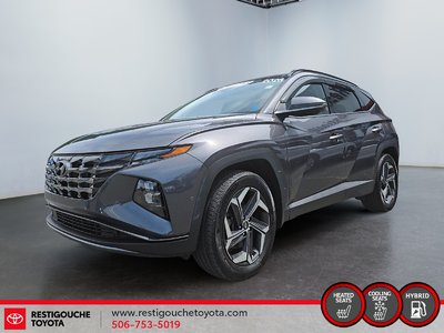 Tucson Plug-In Hybrid