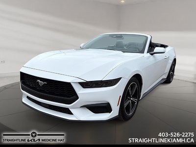 Mustang