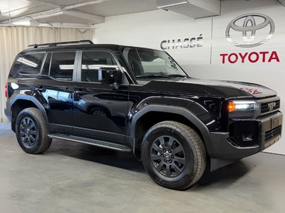 Land Cruiser