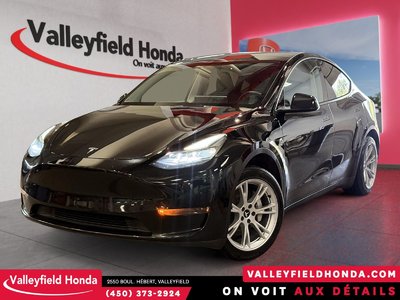 Model Y