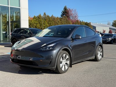 Model Y
