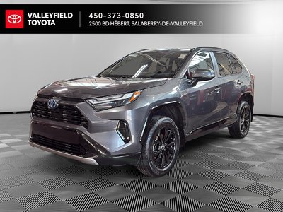 RAV4 Hybrid