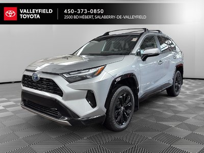 RAV4 Hybrid