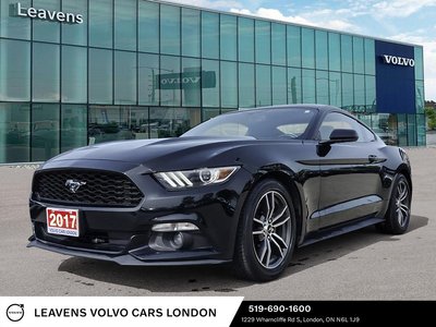 MUSTANG