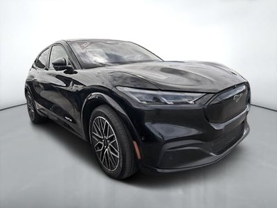 Mustang Mach-E