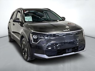 Niro électrique