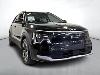 Niro électrique