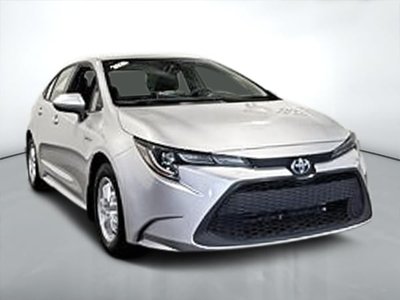 Corolla