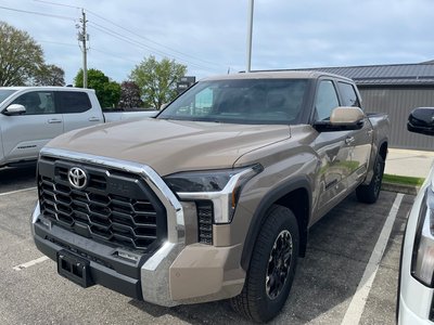 Tundra