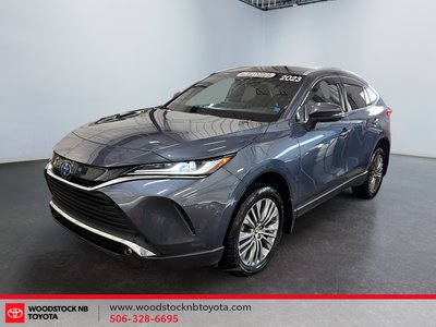 Venza