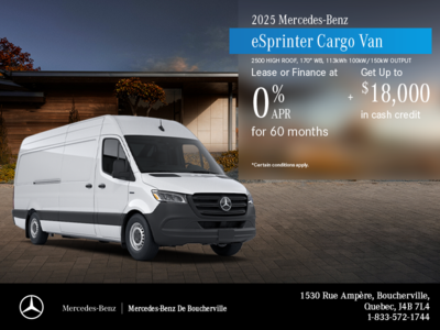 2025 eSprinter Cargo Van