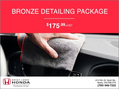 Bronze Detailing Package