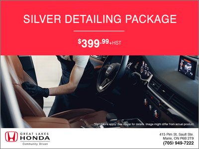 Silver Detailing Package