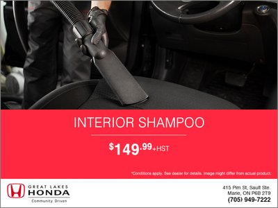 Interior Shampoo