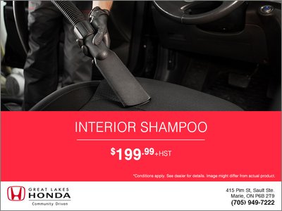 Interior Shampoo