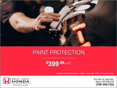 Paint Protection