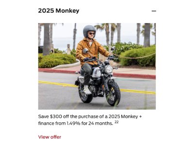 2025 Monkey [in Stock]