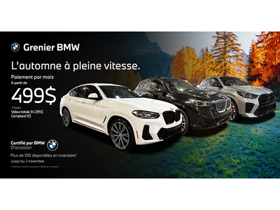 L'AUTOMNE À PLEINE VITESSE !