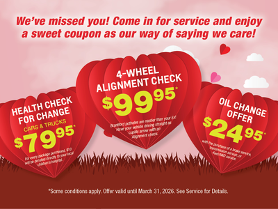 Fall in Love with your Vehicle