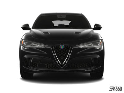 2024 ALFA ROMEO STELVIO CARBONIO photo-2
