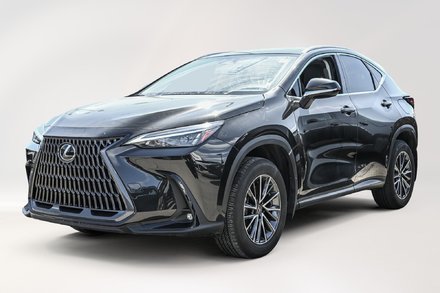Lexus NX 450h + 2024