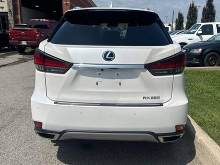 2020 Lexus RX350 Tech