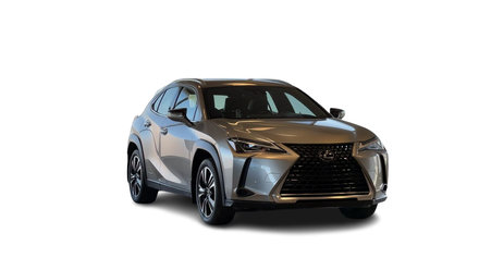 2021 Lexus UXH UX 250h AWD