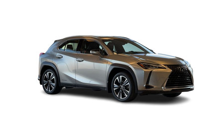 2021 Lexus UXH UX 250h AWD