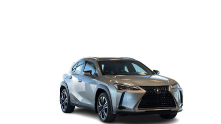 2021 Lexus UXH UX 250h AWD