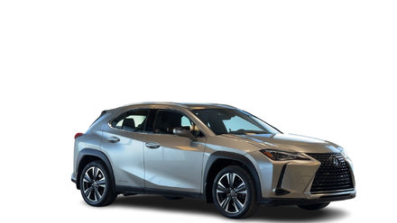 2021 Lexus UXH UX 250h AWD