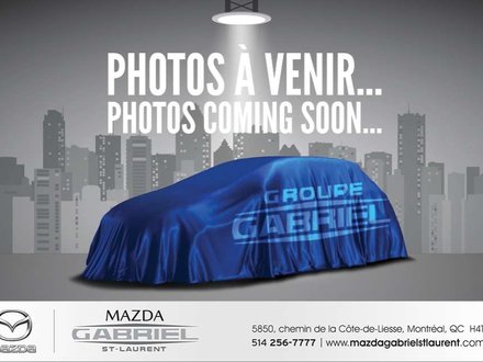 Dodge Grand Caravan SXT 2017