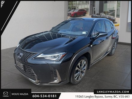 2021 Lexus UX UX 250h